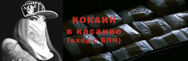 сатива Медногорск