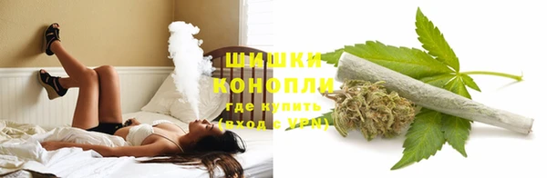 прущий лед Михайлов