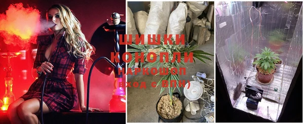 прущий лед Михайлов