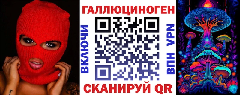 где продают   Мурино  Псилоцибиновые грибы GOLDEN TEACHER 