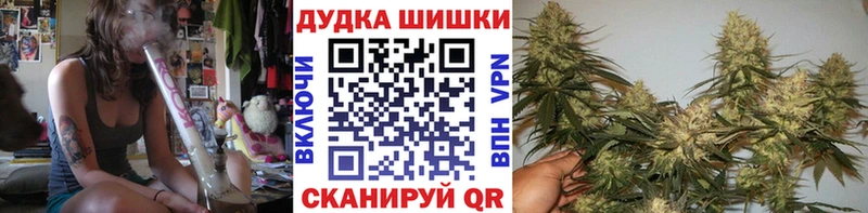 Каннабис OG Kush Мурино